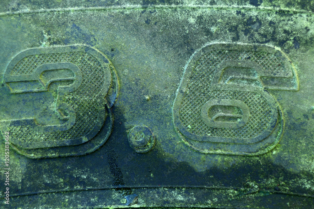Detail of an old tractor tyre - covered with lichen and moss - weathered