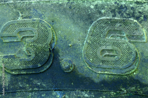 Detail of an old tractor tyre - covered with lichen and moss - weathered photo