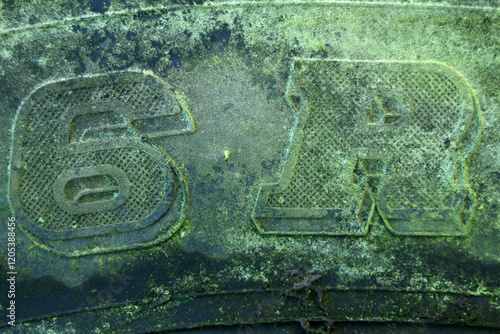 Obraz na płótnie Detail of an old tractor tyre - covered with lichen and moss - weathered w salonie