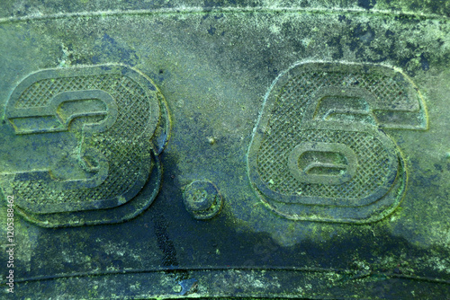 Obraz na płótnie Detail of an old tractor tyre - covered with lichen and moss - weathered w salonie