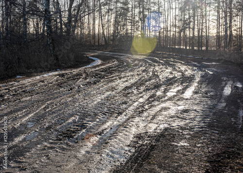 Obraz na płótnie a muddy, wet road, mud texture, snow remnants, winter road w salonie