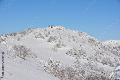Wallpaper Mural 湯ノ丸山の北峰 Torontodigital.ca