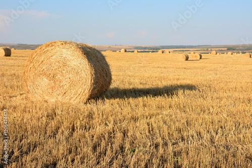 Hay Bales in a Summer Field with dry yellow grass