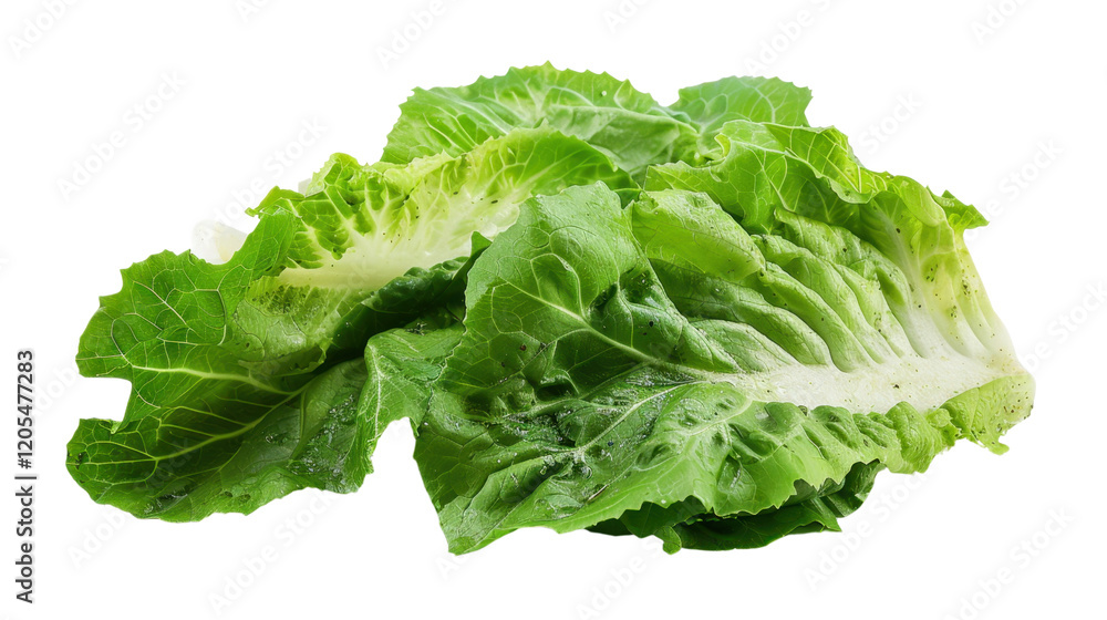 Salad on transparent background Salad on transparent background