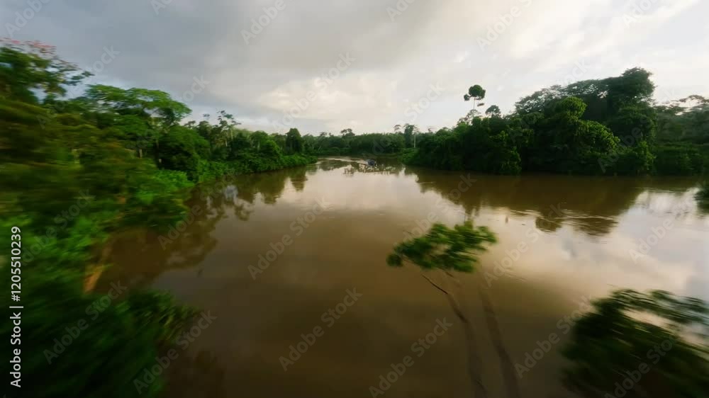 Aerial drone image of a tropical Amazon river flowing through a Amazon rainforest, dark water and lush vegetation. Cinematic aerial footage of the amazon rainforest showing a river through the jungle.