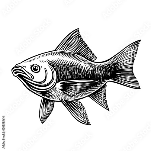 Intricate black and white illustration of a fish showcasing graceful movements and detailed fins in clear water