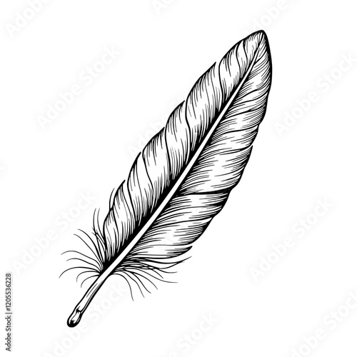 Crafting beauty with a delicate feather illustration showcasing intricate details and natural elegance