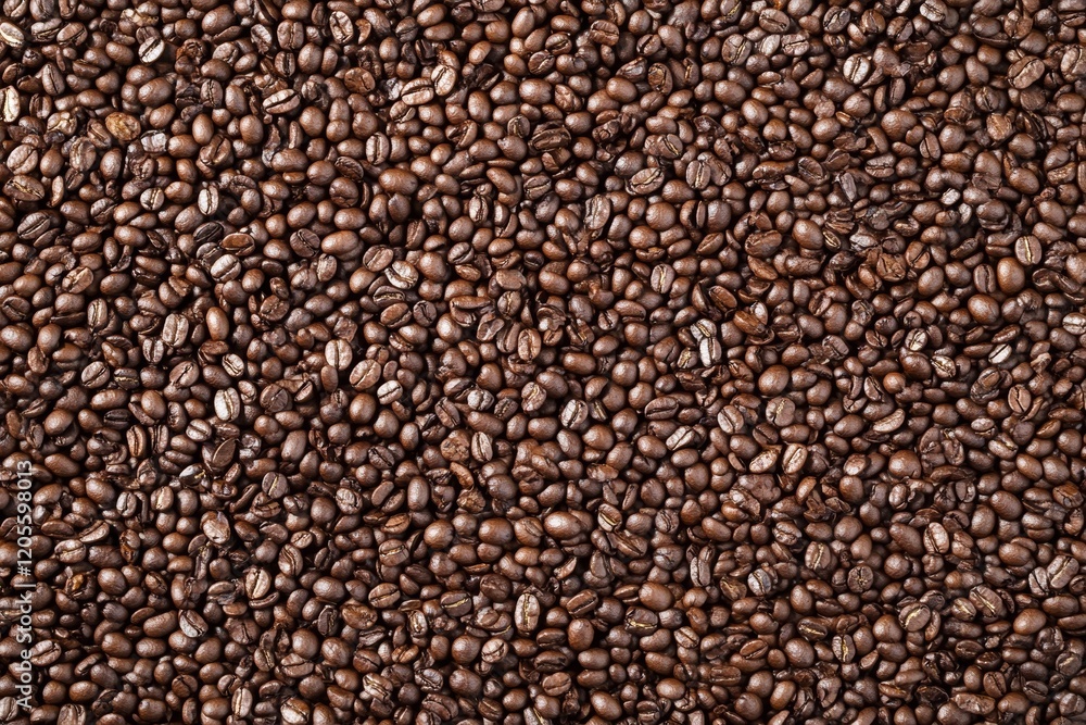 A minimalistic arrangement of coffee beans evenly spread across a pristine white background. The contrast emphasizes the deep brown hues and textures of the beans. A minimalistic arrangement of coffee beans evenly spread across a pristine white background. The contrast emphasizes the deep brown hues and textures of the beans.