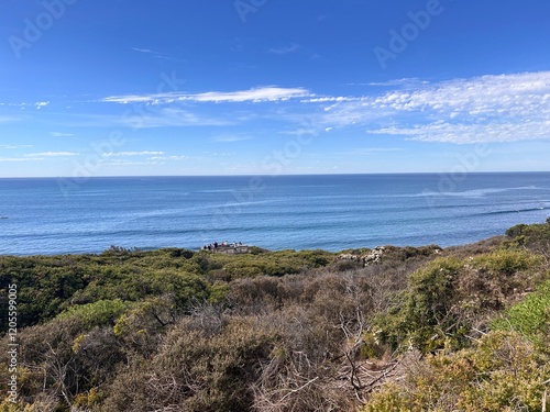 Torquay, located on the Great Ocean Road, is a popular coastal town known for its stunning beaches, surf culture, vibrant cafes, and as the gateway to the Great Ocean Road adventure. photo