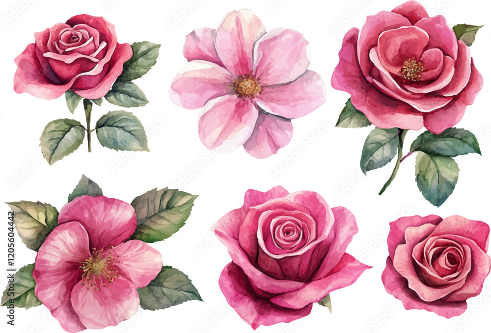 Naklejka premium set of pink roses