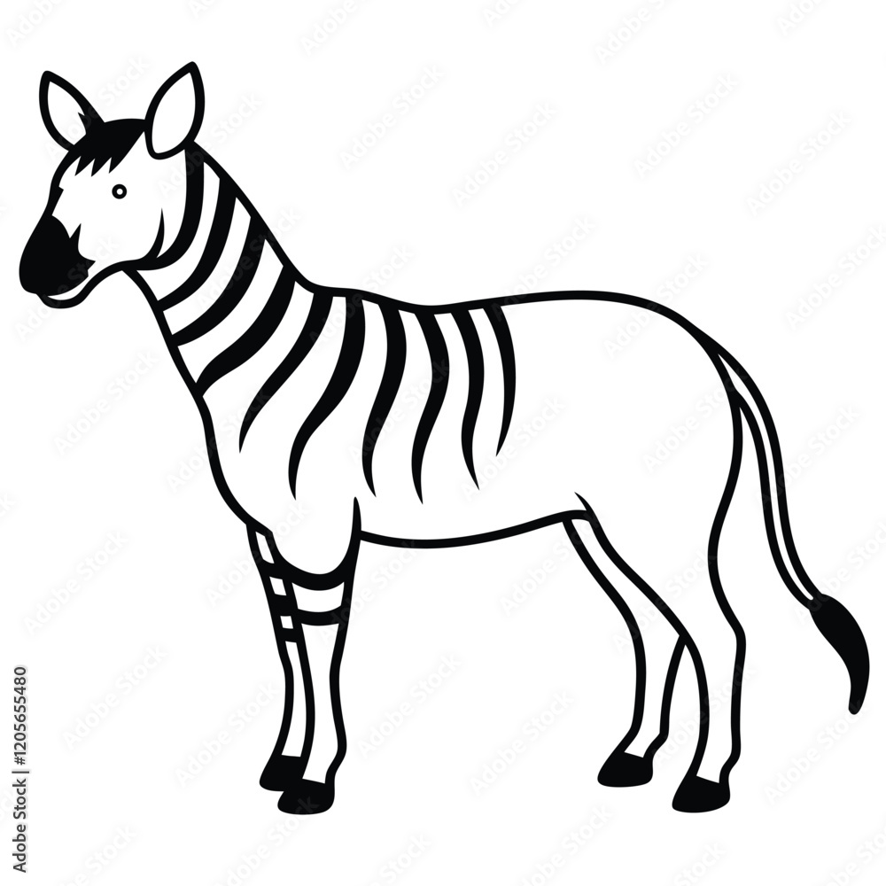 Obraz premium zebra vector illustration