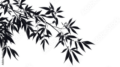 bamboo leaves