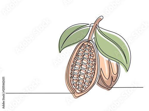 Continuous one line colorful cacao beans branch with leaves isolated on white background. Simple vegetable silhouette. Hand drawn cacao beans branch outline. Vector illustration