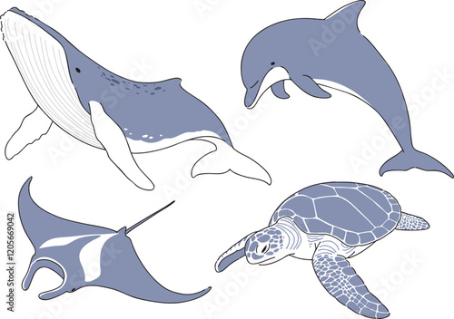 クジラやイルカ、海洋生物たちの手書きイラスト