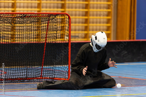 Professional floorball game - Indoor sport land hockey photo