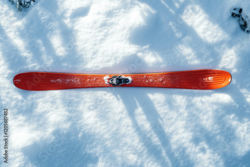 Snow Skis Isolated