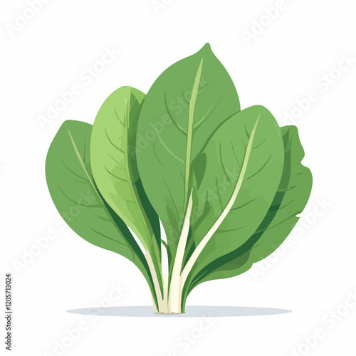 Spinach with fresh leaves isolated on a white background. Healthy nutrition, vegetarian food. Green salad plant collection in flat style. Leaves, seeds and a bunch of greens.