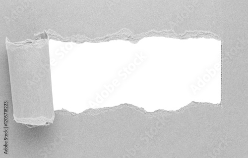 Grey gray torn curled paper or cardboard message backdrop with rough edges and blank copy space for text in the middle, png template on transparent background design element