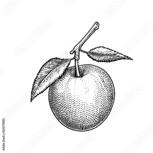 Detailed illustration of a ripe apple with leaves captured in classic black and white style. Generative AI