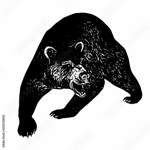 A vector illustration of a bear walking with a slightly hunched posture. Muscle and fur details are vividly drawn.