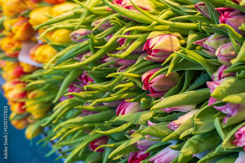 Tulpen an einem Marktstand photo