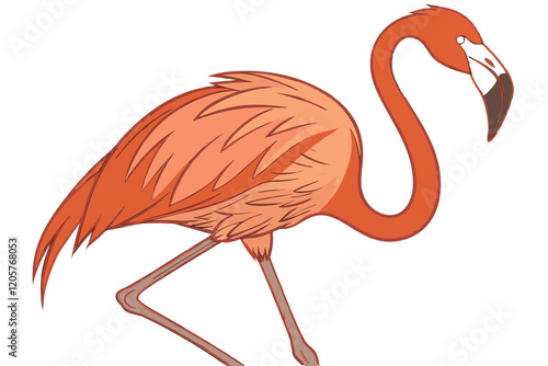 flamingo, vibrant orange feathers, long curved neck, slender legs, graceful pose, white background, photorealistic, detailed plumage, standing on one leg, black beak tip, elegant bird, nature photo