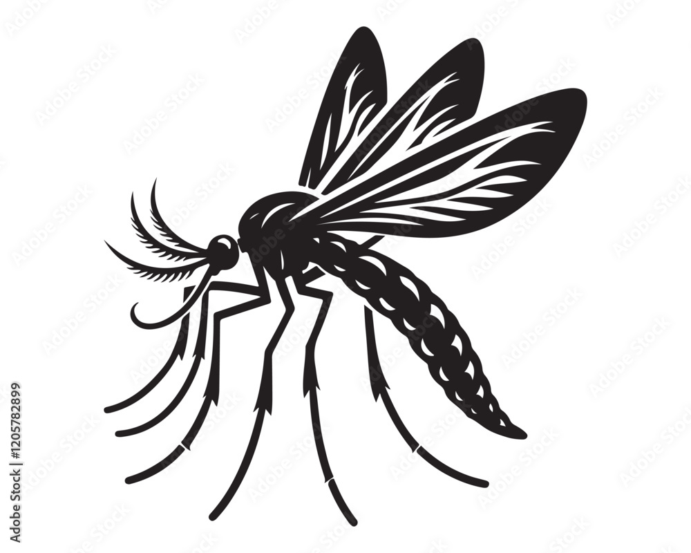 Obraz premium Mosquito 1.eps