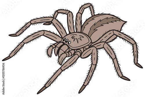 Giant spider, hyper-realistic, detailed texture, furry legs, fangs, menacing pose, arachnid, brown coloration, white background, studio lighting, wildlife photography, 8K resolution, extreme close-