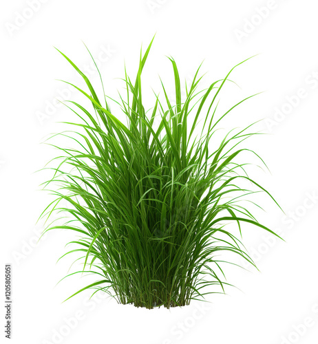 Vibrant green grass plant close-up nature studio setting vertical view freshness concept