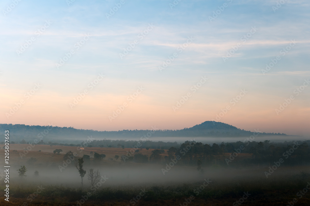 Fototapeta premium a view of the wild nature landscape with background of small hill in blue clear sky of the morning
