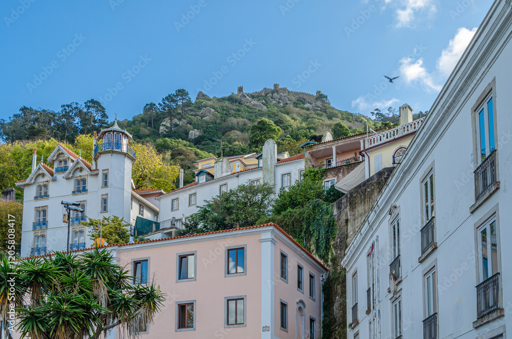 Obraz premium Architecture in the town of Sintra, Portugal