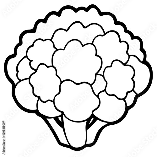 Minimalist Cauliflower Vector Art