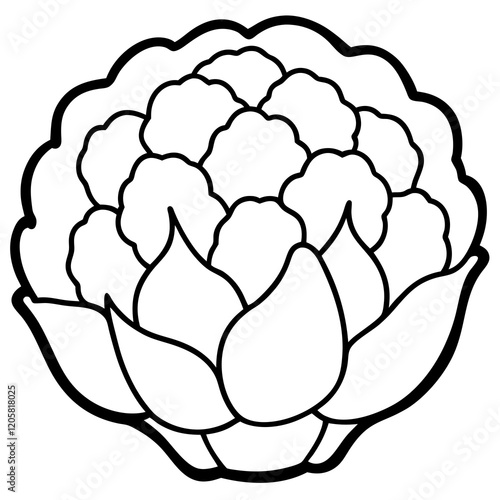 Minimalist Cauliflower Vector Art