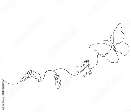 Continuous one line drawing of butterfly life cycle . Single line drawing illustration of perfect metamorphosis . Butterfly concept vector art. Doodle line illustration.