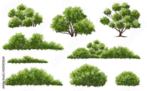 collection of trees, Vertor set of green tree,plants side view for landscape elevations,element for backdrop,eco environment concept design,watercolor greenery scene,shrub,freehand,fresh,lush