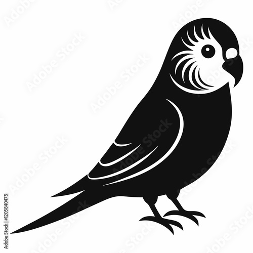 Budgerigar Black Silhouette Vector on White Background