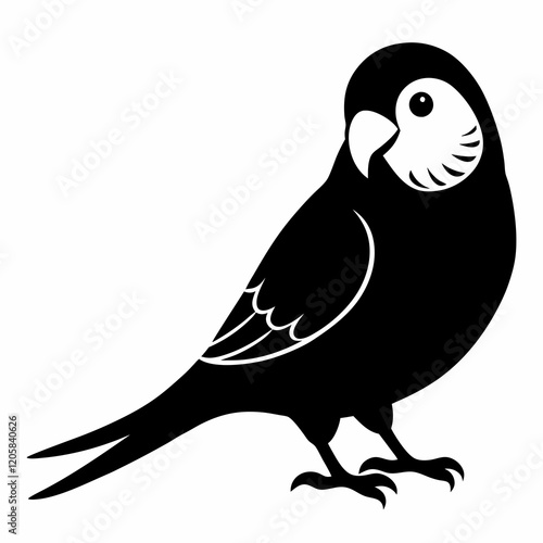 Budgerigar Black Silhouette Vector on White Background