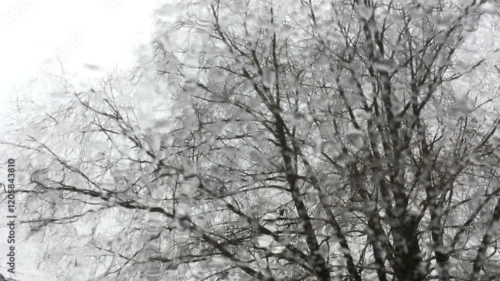 bare winter tree seen through the window cowered with rain drops and melting snowflakes, sadness and melancholy conception, depressing mood bare winter tree seen through the window cowered with rain drops and melting snowflakes, sadness and melancholy conception, depressing mood