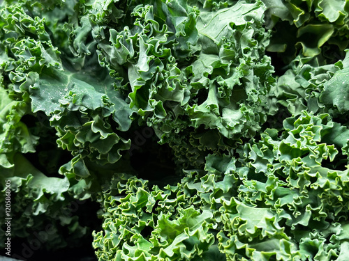 Closeup macro shot of the texture of organic curly kale