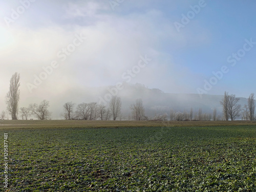 Januar Nebel Panorama am Rhein