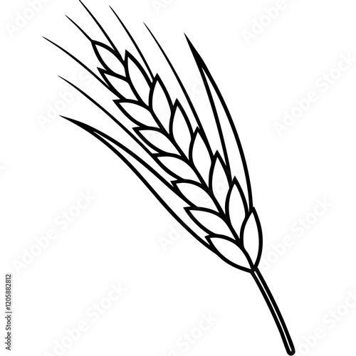 Barley Grain Line Art Vector