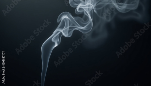 Wallpaper Mural The image showcases a blend of abstract art, minimalist composition, and macro photography, capturing the mysterious atmosphere and intricate details in a graceful motion. Torontodigital.ca