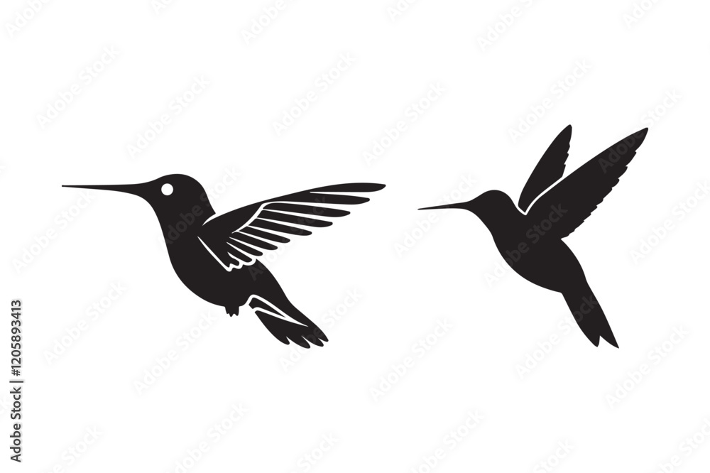 Obraz premium Hummingbird Silhouette Vector Set for Nature and Wildlife Design Projects