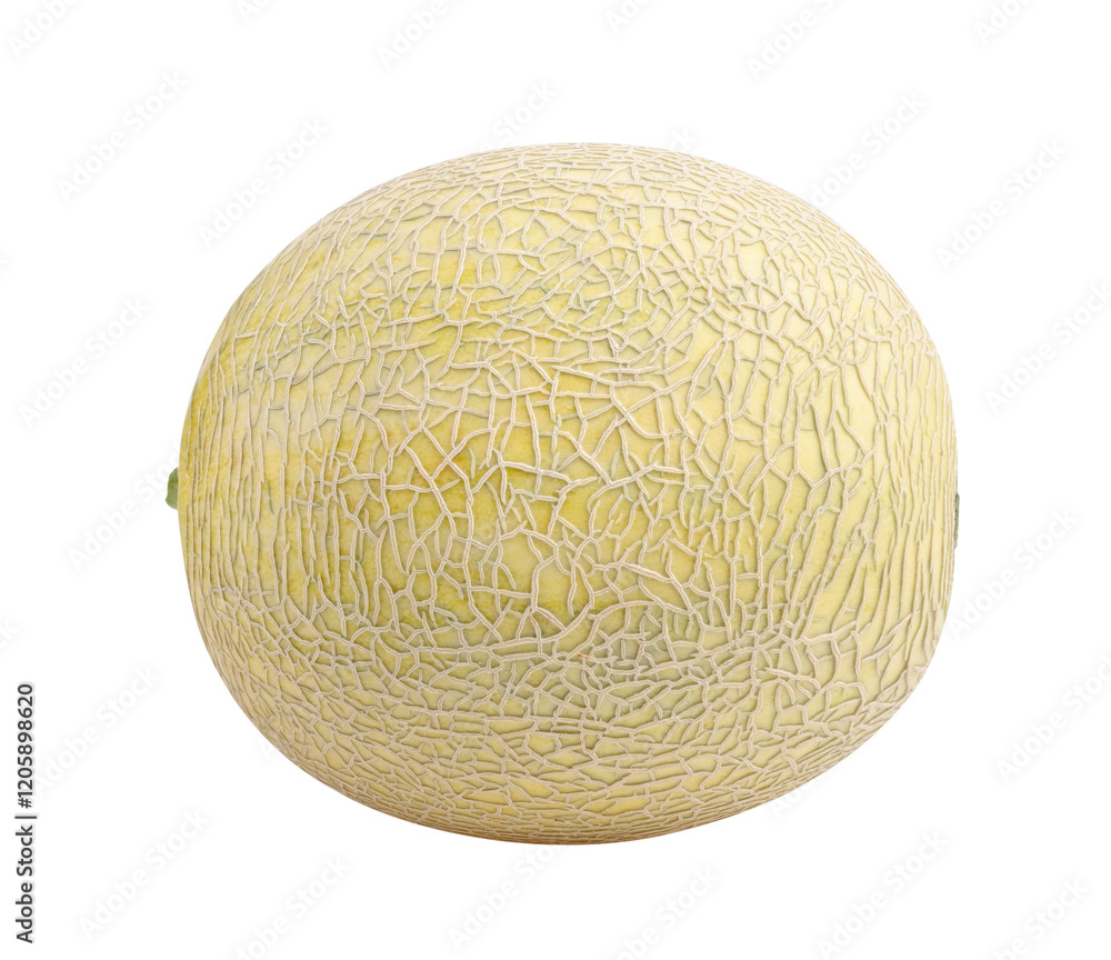 cantaloupe melon on transparent png cantaloupe melon on transparent png