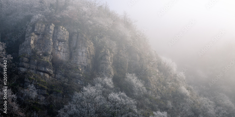 Fototapeta premium Montagne givré Ardèche France