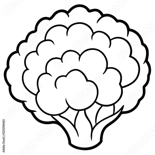 Creative Cauliflower Vector Composition