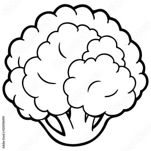 Creative Cauliflower Vector Composition