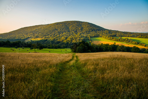 Fototapeta Naklejka Na Ścianę i Meble -  Morning View of Lackowa Mountain in the Low Beskids, Poland