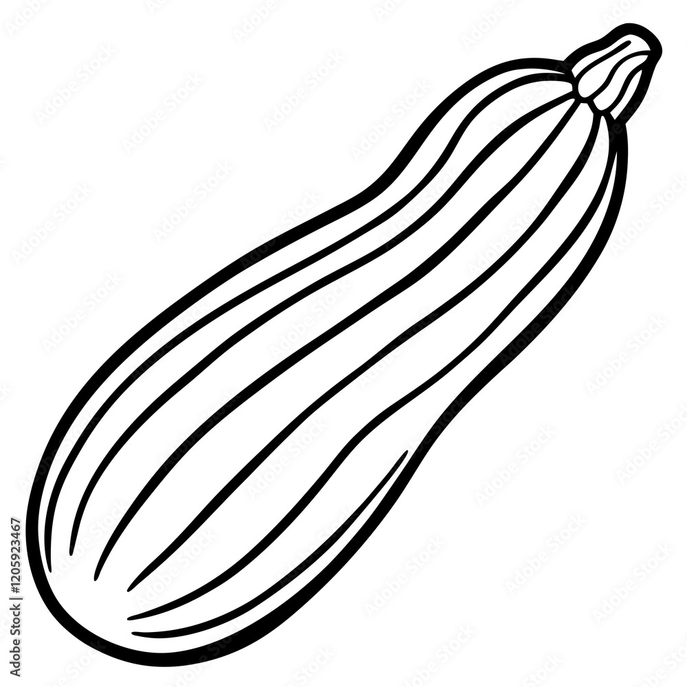 Creative Zucchini Vector Design Creative Zucchini Vector Design