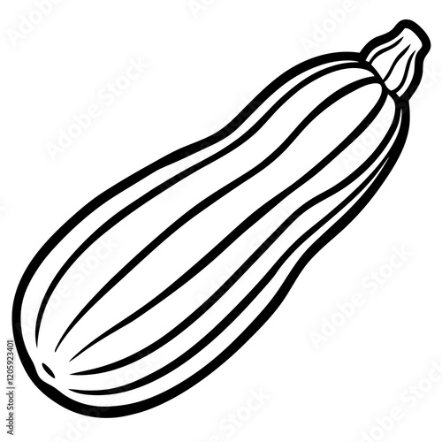 Creative Zucchini Vector Design